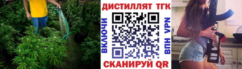 закладки  Зверево  ТГК концентрат 