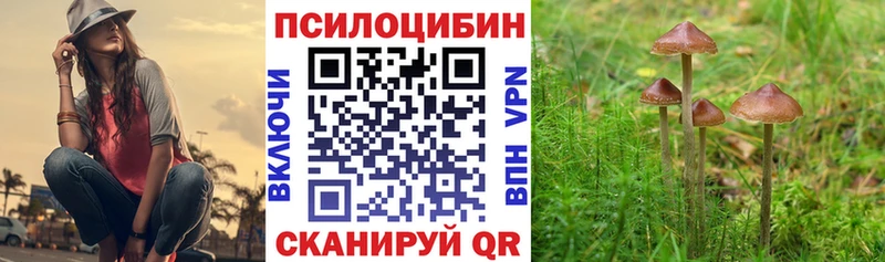 Галлюциногенные грибы Cubensis  дарнет шоп  Зверево 
